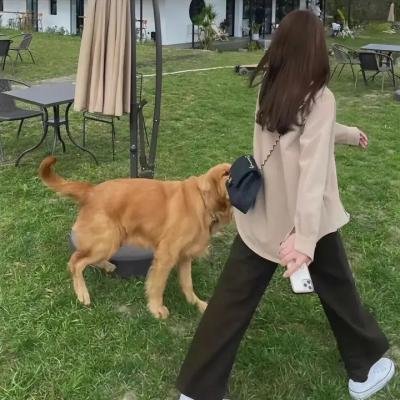 飞雷